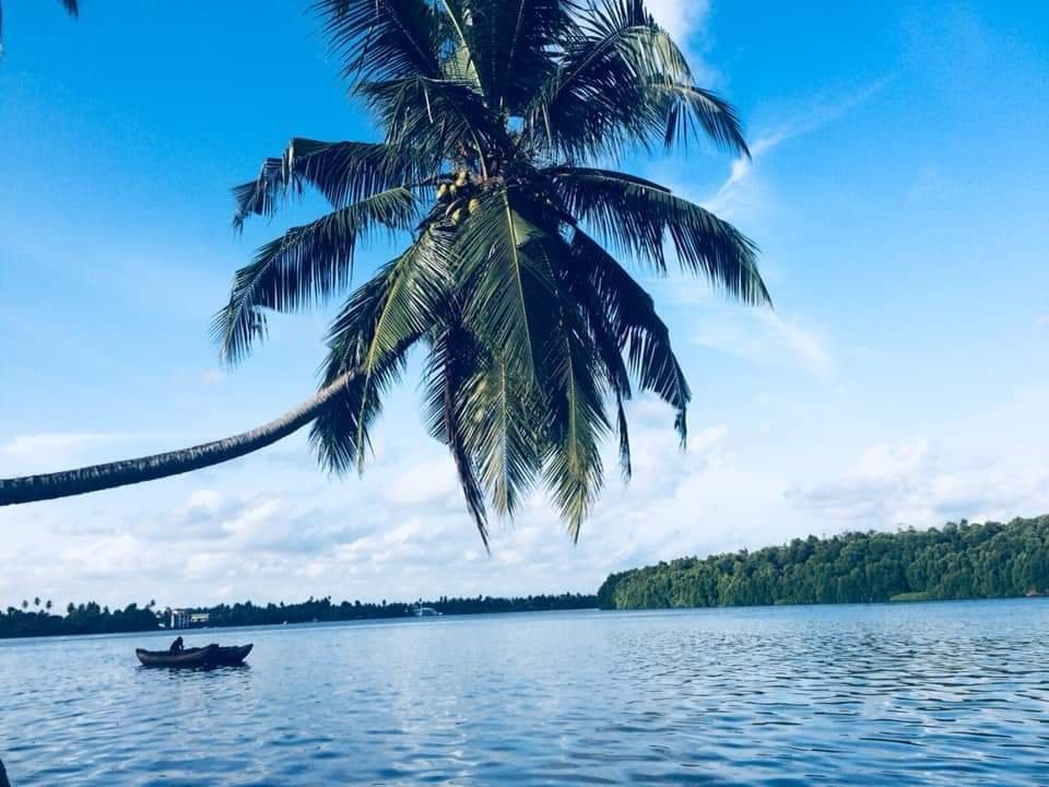 Nuwara Eliya ➝ Bentota (230 km)