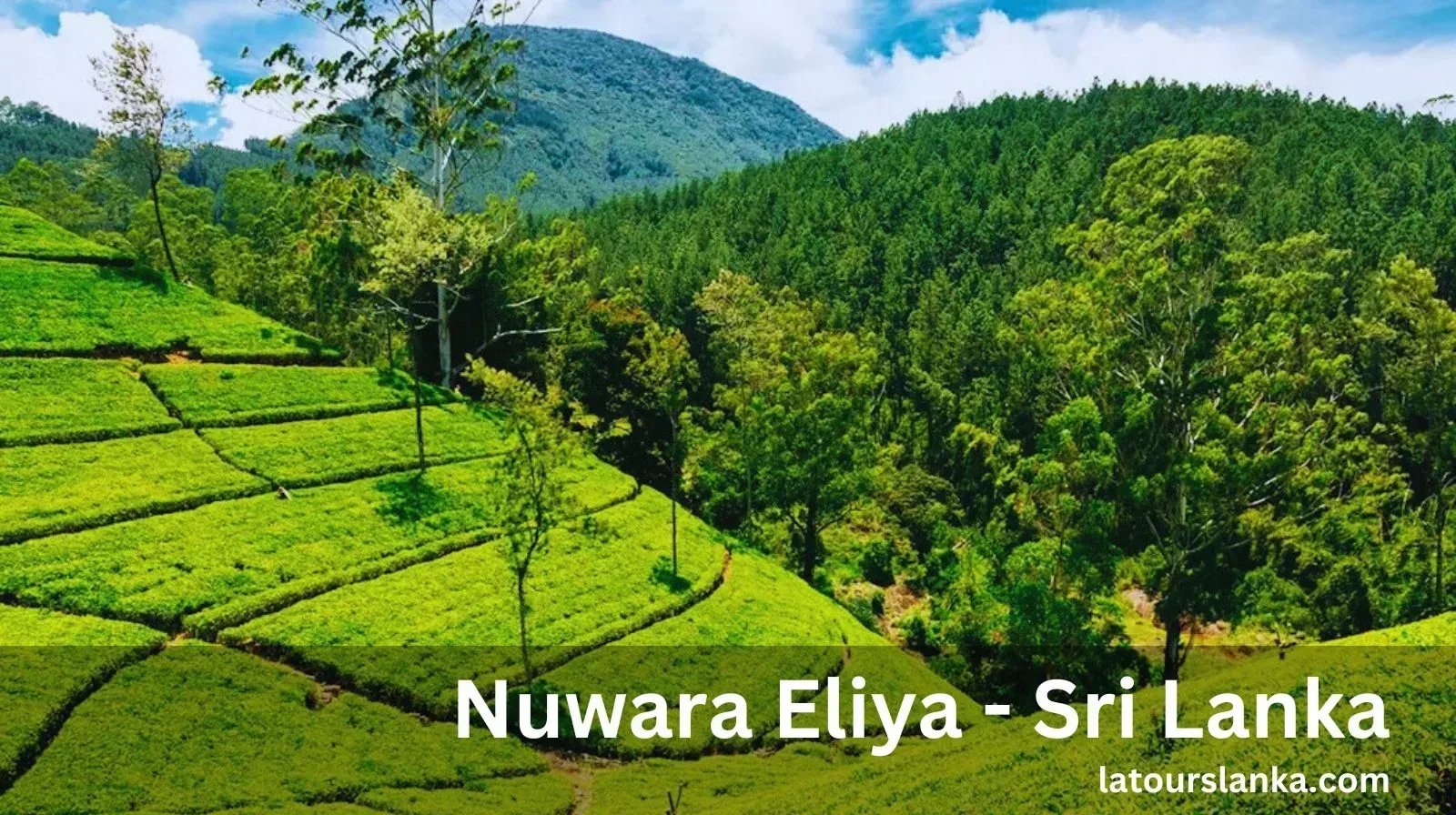 Join us and Discover the Beauty of Sri Lanka’s Little England Today!